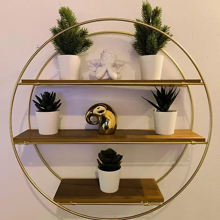 Crezy House Trilussa * Ρώμη